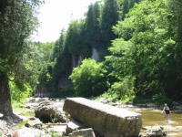 elora-gorge-100