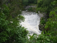 tooth-of-time-elora-3