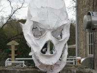 skull
