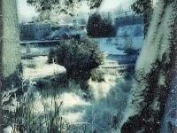 tooth of time from slide-wm