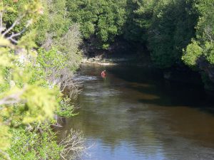 The Grand River has deeper water for Kayaking.