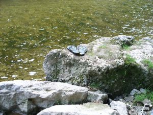 The water has tempted a visitor to leave footwear behind.