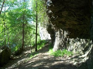 Hiking trail that leads from the stairs in Irvine Gorge.