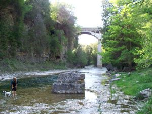 Everyone wants to puddle in the shallow water of the Irvine River in Elora.